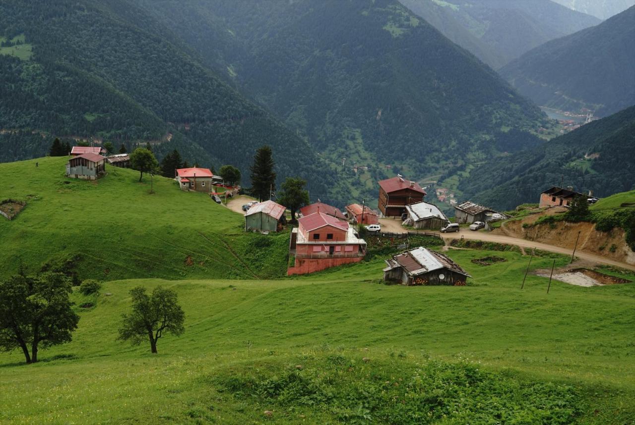 Gumul Pansiyon Uzungöl Kültér fotó